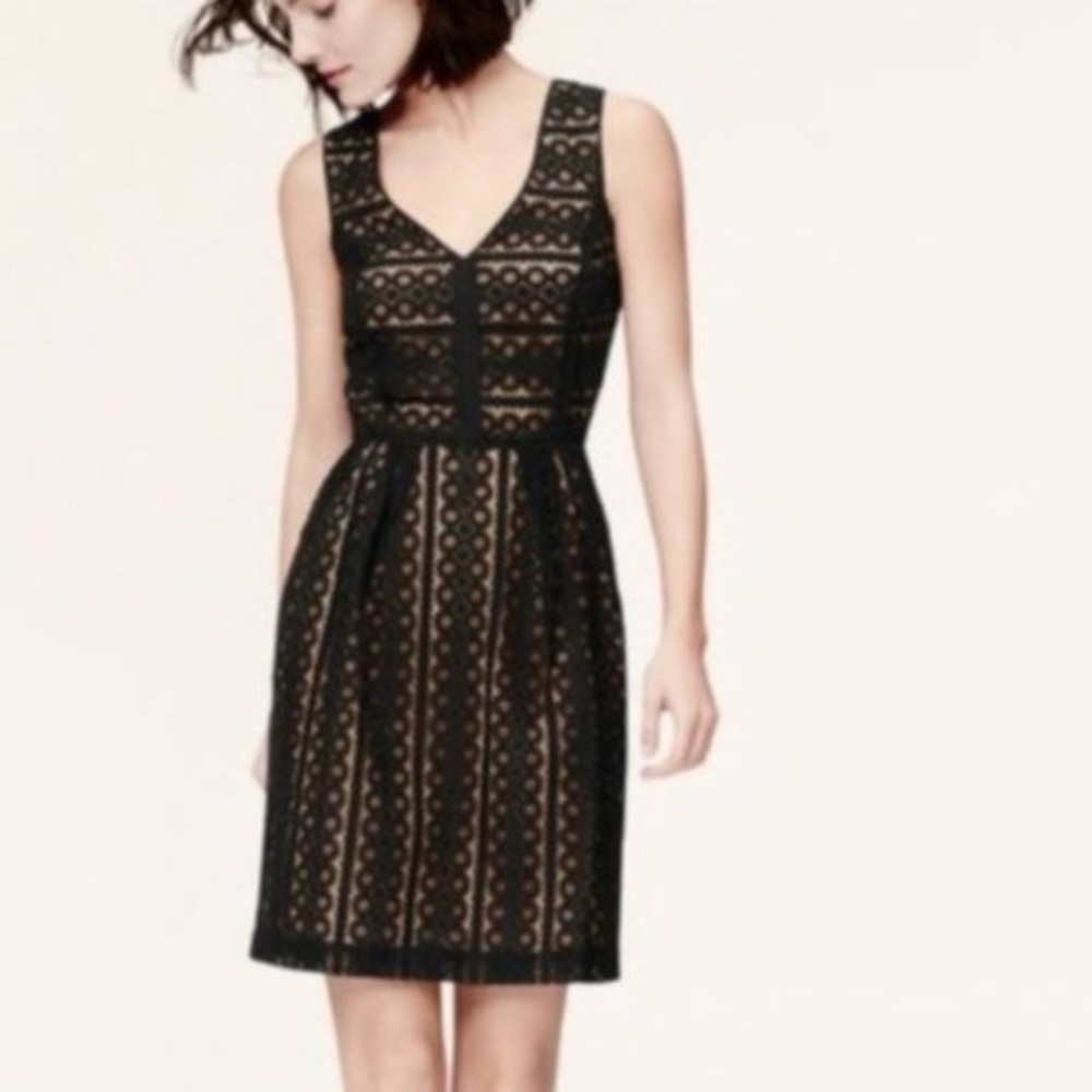 Loft Black and Tan Dress